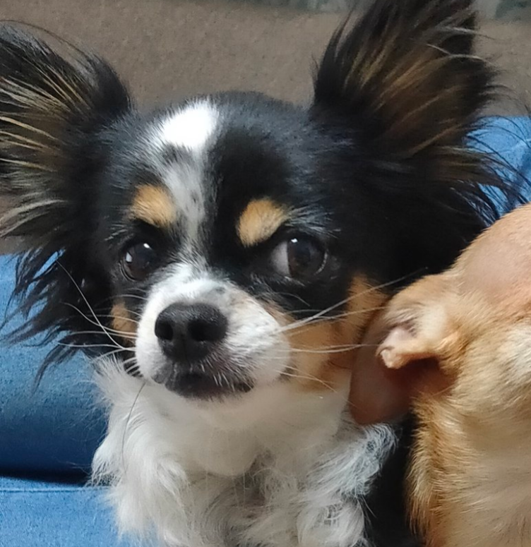 との